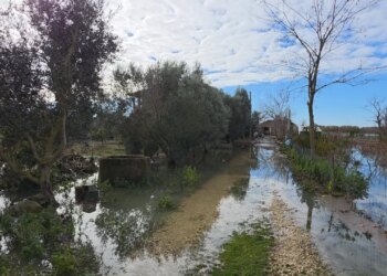 Rritja e nivelit të lumit Seman, fshati Hasturkas nën ujë, 20 familje në evakuim dhe në kërkim të ndihmës së menjëhershme