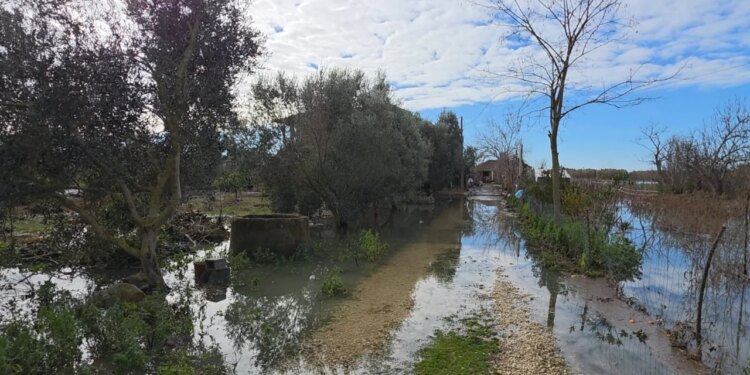 Rritja e nivelit të lumit Seman, fshati Hasturkas nën ujë, 20 familje në evakuim dhe në kërkim të ndihmës së menjëhershme