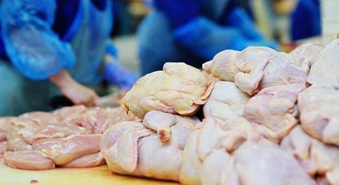 Shkatërrohen mbi 19 mijë kilogramë mish pule