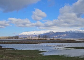 Sovjani i përmbytur në Maliq, kultura e grurit dhe misrit të shkatërruara.