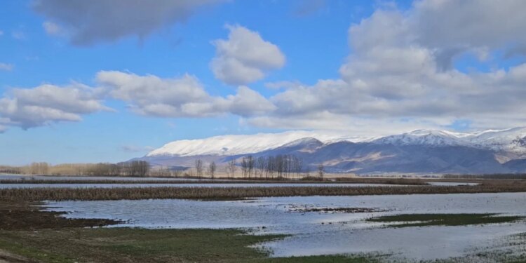 Sovjani i përmbytur në Maliq, kultura e grurit dhe misrit të shkatërruara.
