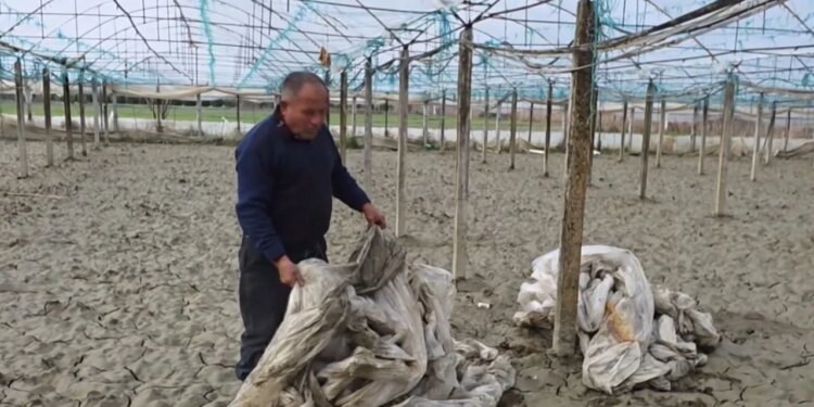 “Vendi i Shkatërruar” / Banorët e Arapajt në Roskovec pas përmbytjeve: Dy herë nën ujë brenda një periudhe 15-ditore