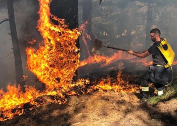 Zjarret dhe normaliteti i ri: 2025, viti i tretë më i ngrohtë në histori