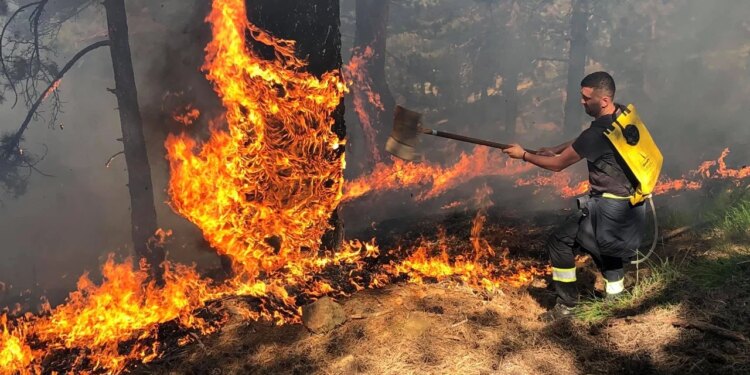 Zjarret dhe normaliteti i ri: 2025, viti i tretë më i ngrohtë në histori