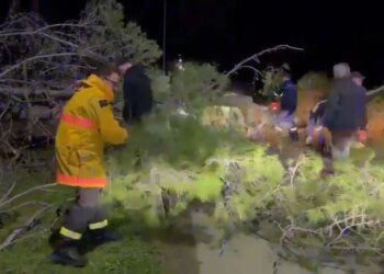 Zjarri në Orikum, erërat e forta shembin pishat dhe bllokojnë rrugën drejt Zvërnecit.