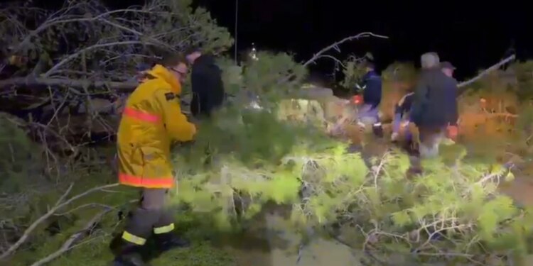 Zjarri në Orikum, erërat e forta shembin pishat dhe bllokojnë rrugën drejt Zvërnecit.