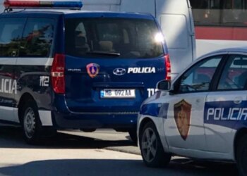 19-vjeçari në Memaliaj përfundon në procedim pas grabitjes dhe sulmit ndaj pronarit të një banese