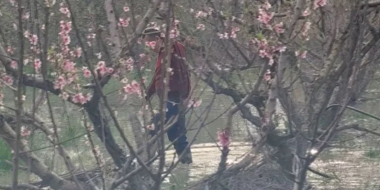 300 hektarë të mbuluara nga uji për dy muaj, fermerët në Lushnjë paralajmërojnë për dëme të konsiderueshme