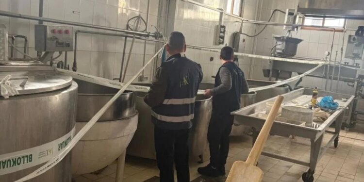 AKU ndërhyn në Fier, bllokon mijëra kilogramë produkte qumështi, përfshirë gjalpin dhe mocarelën të pasigurta për konsum.