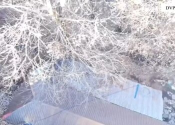 Arrestohen dy të rinjtë në Shkodër pasi sekuestrohen armë zjarri dhe municion luftarak