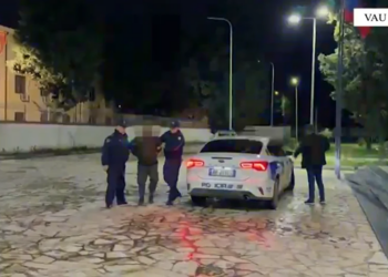 Arrestohet një 46-vjeçar në Vaun e Dejës për kultivim droge