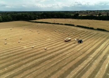 Garancia sovrane nuk ishte efektive: Ekspertët për kreditimin në bujqësi, burokracitë dhe mungesa e informacionit penguan avancimin e procesit.