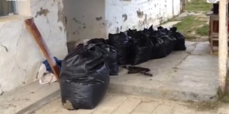 Histori e Brendshme: Lufta mes bandave si në filma – Grupi i Aliajt përballet me rivalët në përleshje të armatosura për grabitje droge.