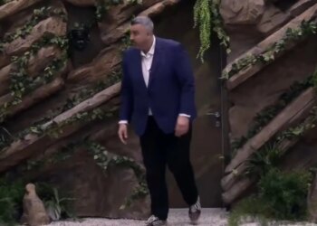 Komentet për Stenaldon: Cili është vendimi i Vëllait të Madh për Rogertin?