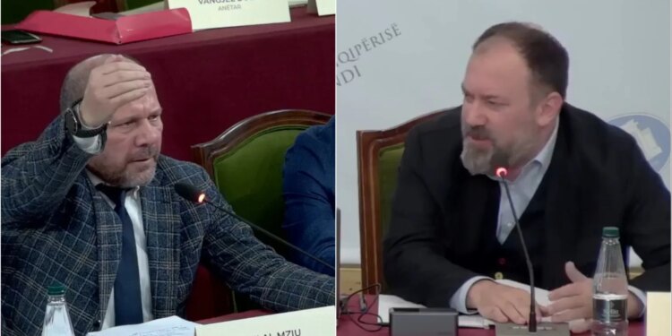 "Organizimi i një sondazhi" / Mazniku debaton me Mziun në Komisionin e Reformës Territoriale, deputeti i PD: Po i jepni vetes një goditje fatkeqe.