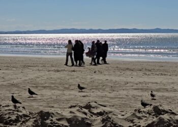 Pakistan-Afganistan: Sulm ajror ndaj Talebanëve, 13 të vdekur dhe disa të plagosur