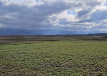 Përmbytjet godasin Maliqin, qindra hektarë të përmbytur, fermerët nuk presin rendiment të lartë këtë vit