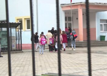 Petition for Students: Safety and Well-Being Initiative Launched by a Sociologist, Backed by 600 Parents