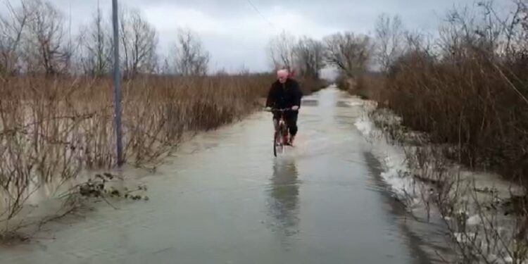 Probleme të mëdha në qarkun e Shkodrës, uji pengon qarkullimin në lidhjen mes fshatit Obot dhe rrugës kryesore.