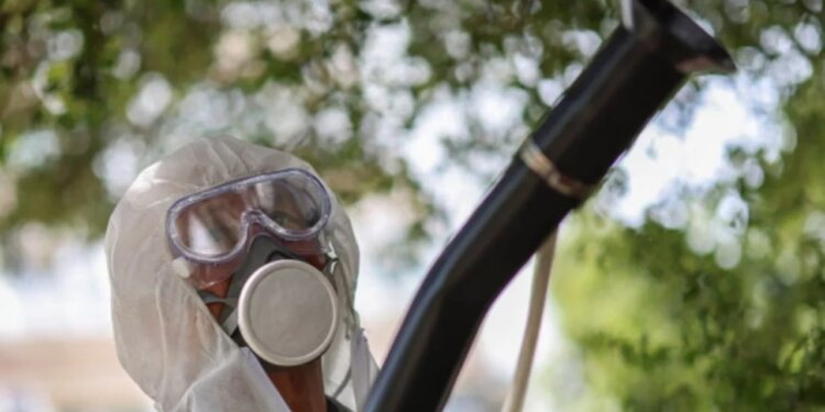 Sëmundja tropikale po “përhapet” në Evropë, Chikungunya kërcënon të zgjerohet në veri, ja çfarë simptomash paraqet.