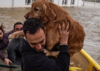 Shkatërrim në Gadishullin Iberik, kërkohet të shtyhen zgjedhjet presidenciale në Portugali