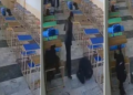 Tragjedia në shkollë: Një student vret shokun e tij dhe më pas kryen vetëvrasje