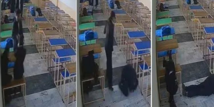 Tragjedia në shkollë: Një student vret shokun e tij dhe më pas kryen vetëvrasje