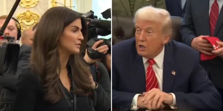 Trump sulmoin gazetaren e CNN-it që e pyeti për Epstein: "Je shumë negative, nuk të kam parë kurrë të buzëqeshësh"