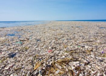 “‘Ishulli’ që s’duhet të jetë, si mbeturinat formuan një ekosistem të rrezikshëm në Oqeanin Paqësor”