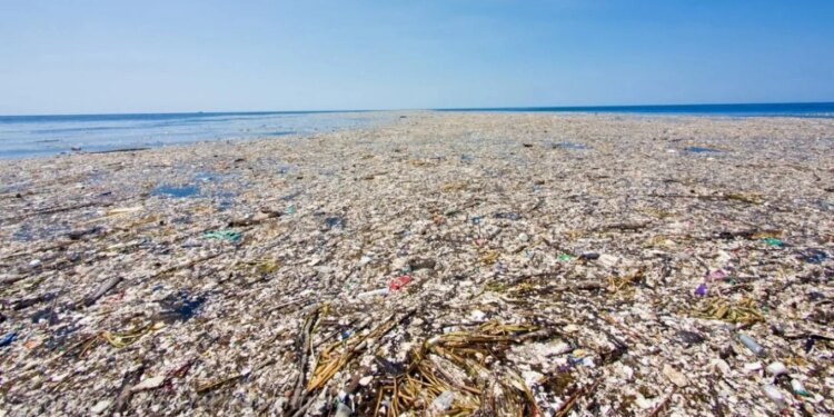 “‘Ishulli’ që s’duhet të jetë, si mbeturinat formuan një ekosistem të rrezikshëm në Oqeanin Paqësor”
