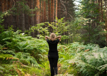 Forest baths, restoration of strength and psyche, an adult woman walks along forest path among ferns