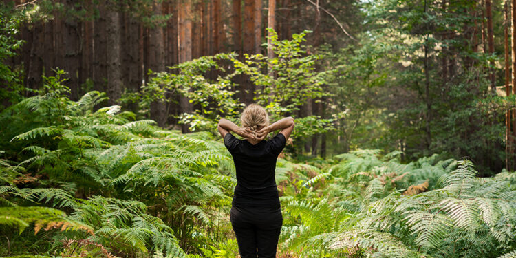 Forest baths, restoration of strength and psyche, an adult woman walks along forest path among ferns